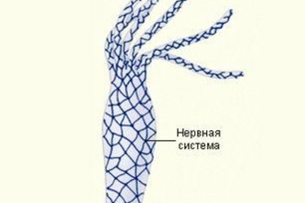 Кракен зеркало сайта