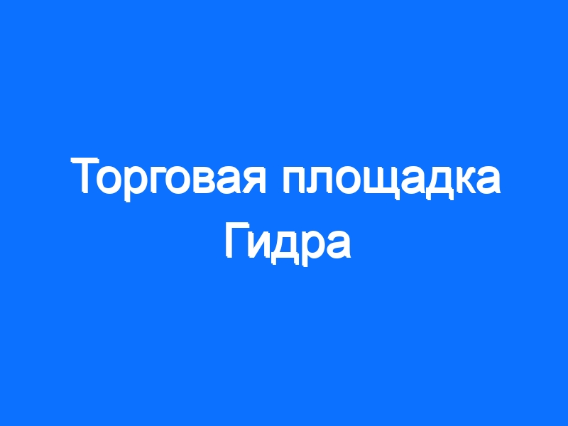 Только через тор кракен