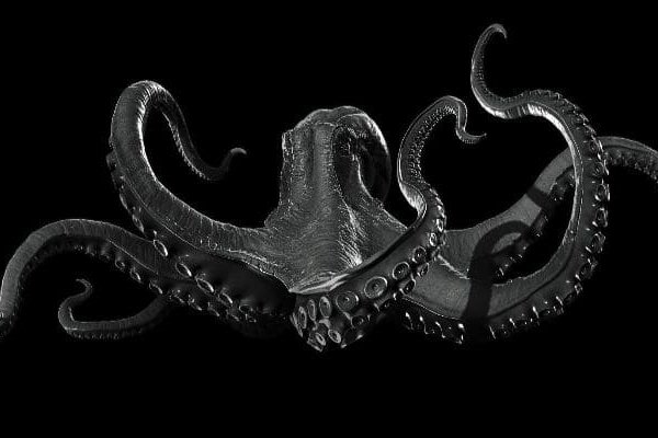 Kraken 4